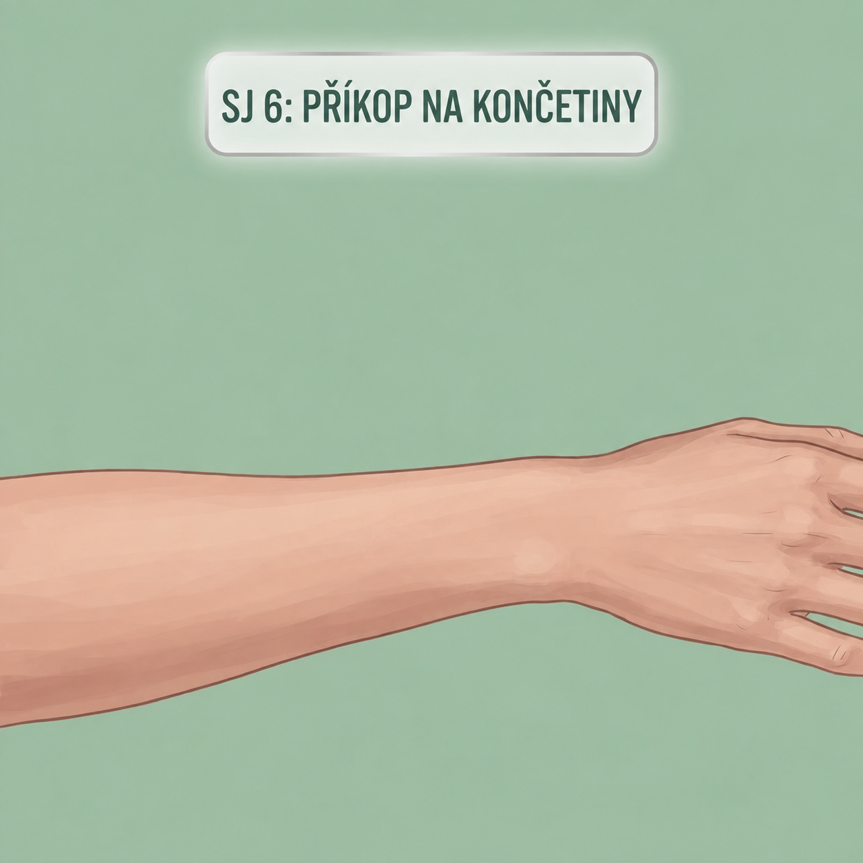 Snímek těla pro bod SJ 6 - Přikop Na Koncetiny