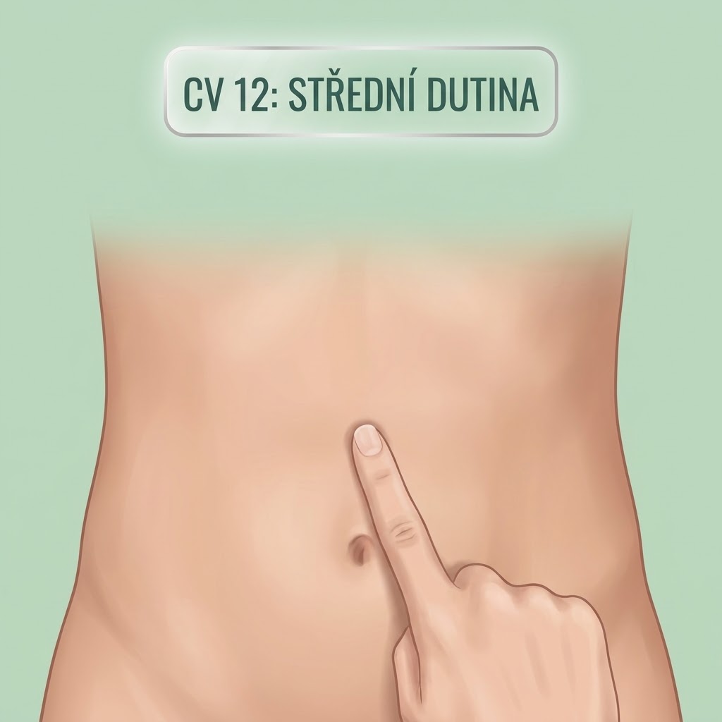Střední Dutina (CV 12)