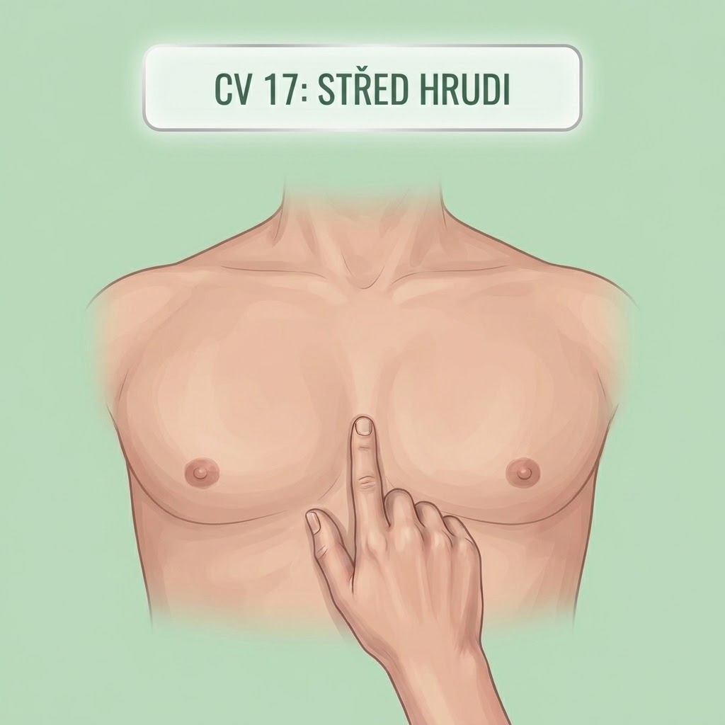 Střed Hrudi (CV 17)
