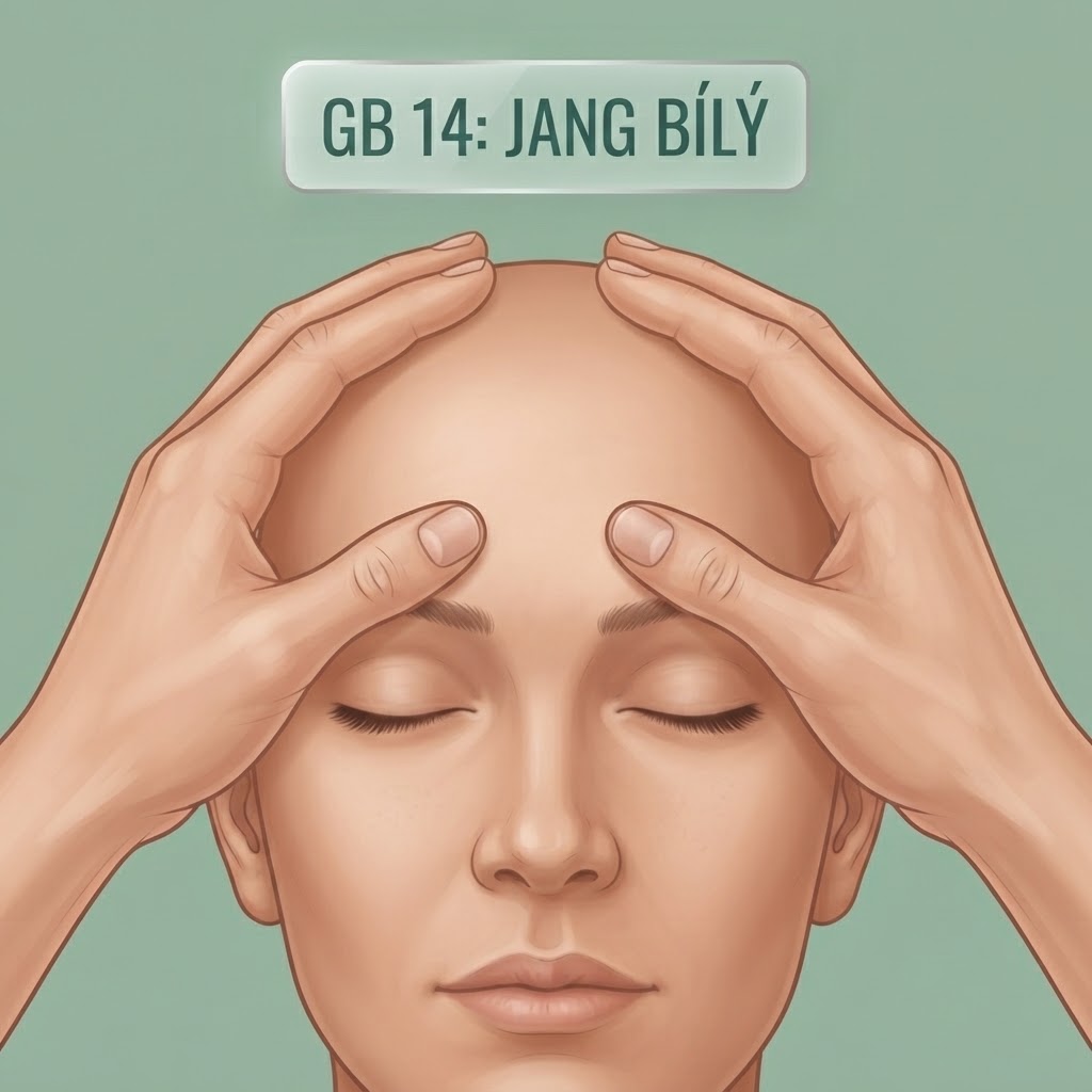 Jang Bíly (GB 14)